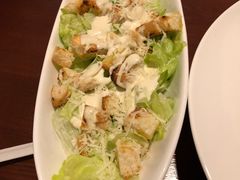 -百好乐宠物友好餐厅(朝外大街店)