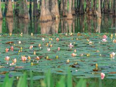 -白鹭湾湿地公园