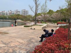 -新江湾城公园