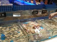 -加餐海鲜自助(宝龙一城店)