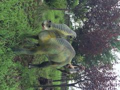 iphone_upload_pic-自贡恐龙博物馆