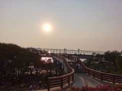 -宝安西湾红树林湿地公园