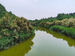 -塘沽森林公园