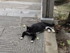 -宝通禅寺