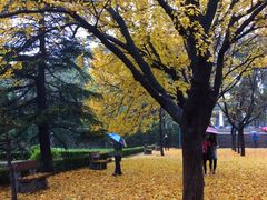 -山东师范大学(千佛山校区)