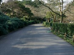 汉拿树木园-汉拿树木园
