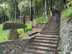-莫干山风景区