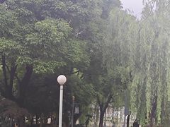 -孺子亭公园