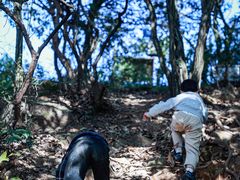 -杭州半山国家森林公园