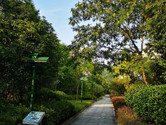 -咸宁太乙国际温泉度假村