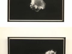 -南京书画院金陵美术馆