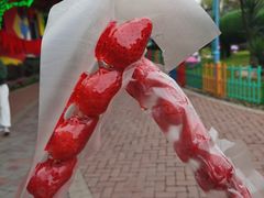 -成都欢乐谷