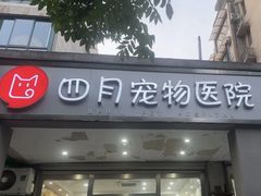 -四月宠物医院·猫专科·心脏专科·内科(转塘店)
