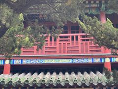 -蓬莱阁景区