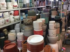 -花鸟鱼虫鲜花绿植市场(玉泉路店)