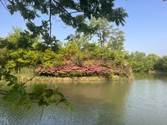 -西溪国家湿地公园