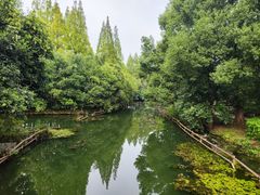 -尚湖风景区