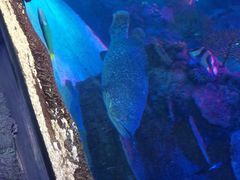 -沈阳海洋探索中心