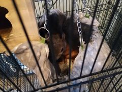 -MOJO密室逃脱(中街旗舰店)