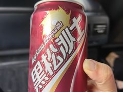 -吴记鲜定味