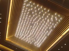 -成都保利公园皇冠假日酒店(熊猫基地店)