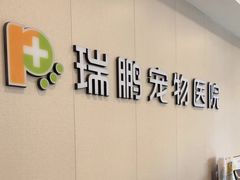 -瑞鹏宠物医院·骨科·猫科·内科(第一中心)