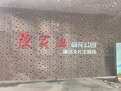 -陈家山荷花公园