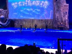 -华夏文旅海洋公园