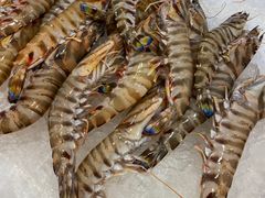 -东河市场