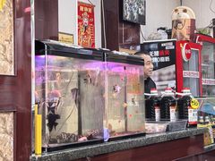 -任记七中刀削面(总店)