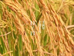 -风云岭森林公园