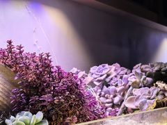 -街角等你.大连海鲜烧烤(西安路店)