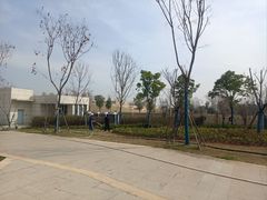 -盘龙城国家考古遗址公园