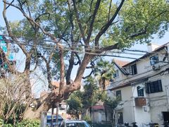 -上海蔡元培故居陈列馆