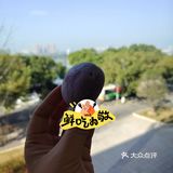 去长沙旅游带什么？
