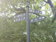 -中山公园(石岐街道)