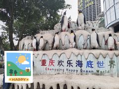 -重庆欢乐海底世界