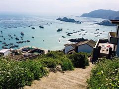 -枸杞岛