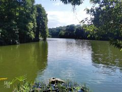 -深圳仙湖植物园
