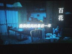 -万象影城(石家庄万象城IMAX激光店)