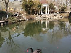 -天毓山庄·餐厅