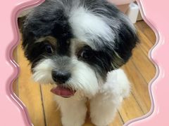 -总动员动物医院(宝丰院店)