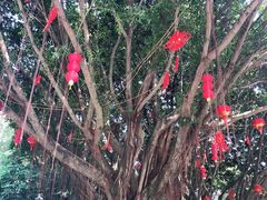 -金鸡山公园