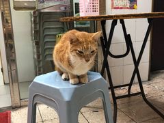 -池记(尖沙咀店)