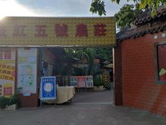 -荔枝红五号农庄