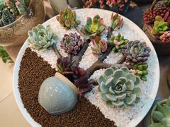 -双季花艺园艺市场(浦东店)