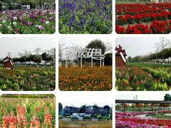-广东花都香草世界旅游度假区