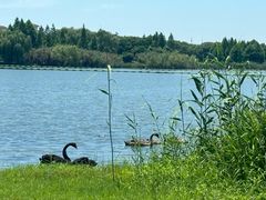 -西山漾湿地公园