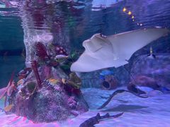 -沈阳海洋探索中心