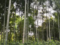 -杭州黄龙洞